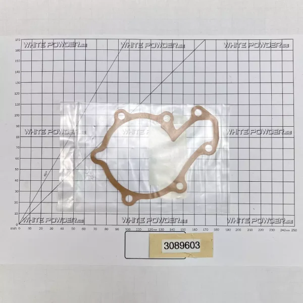 Polaris 3089603 - Gasket Water Pump
