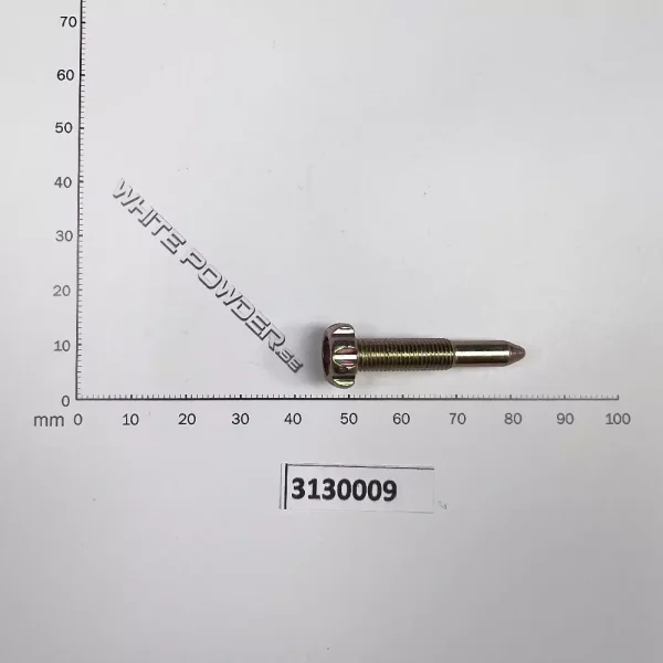 Polaris 3130009 - Throttle Stop Screw