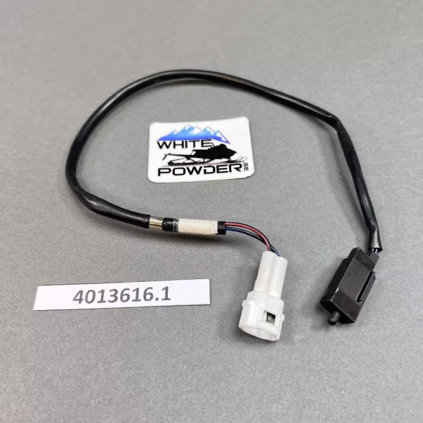 Polaris 4013616