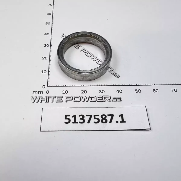 Polaris 5137587