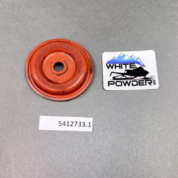 Polaris 5412733