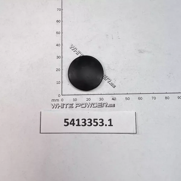 Polaris 5413353
