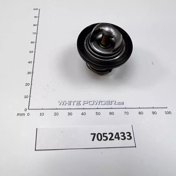 Polaris 7052433