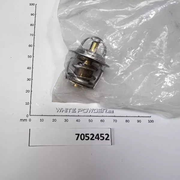Polaris 7052452
