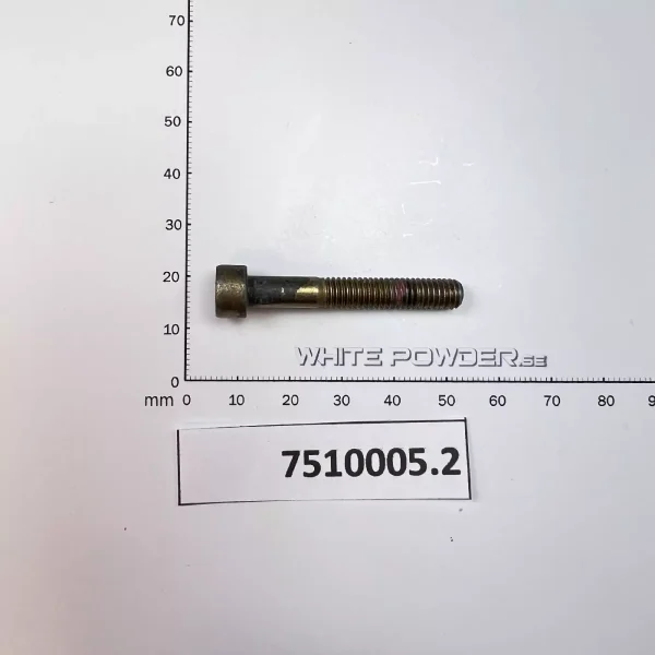 Polaris 7510005 screw