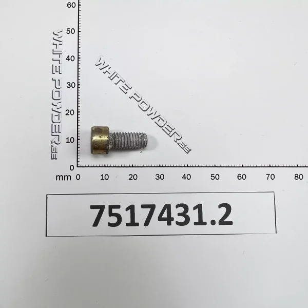 Polaris 7517431