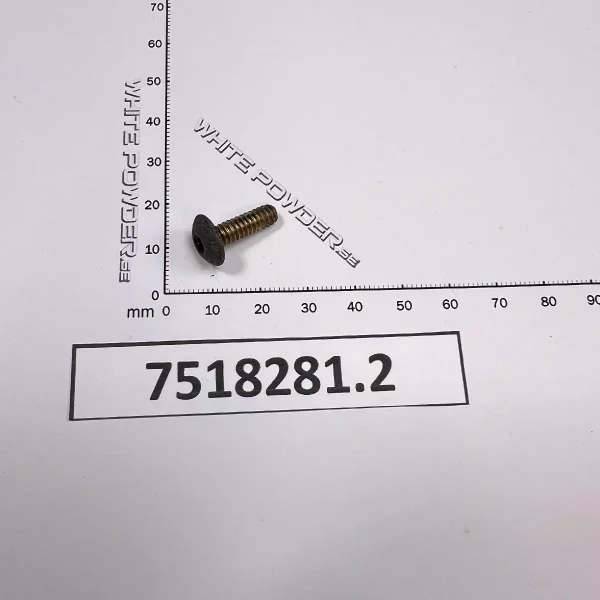 Polaris 7518281