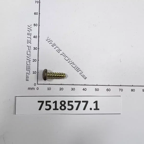 Polaris 7518577
