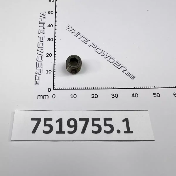 Polaris 7519755