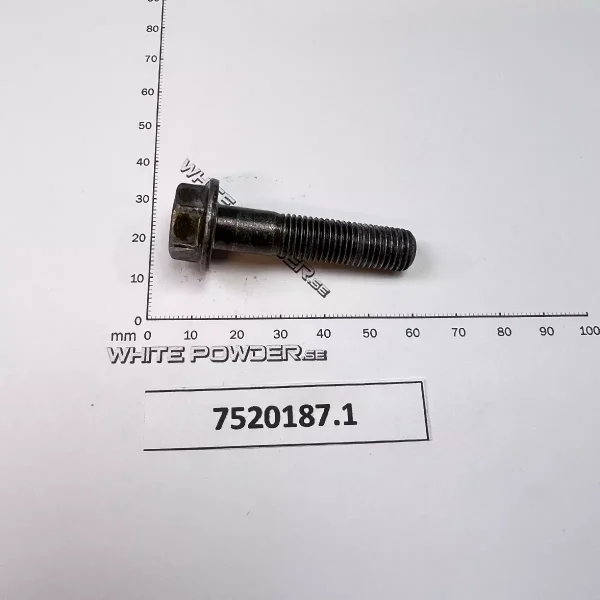 Polaris 7520187