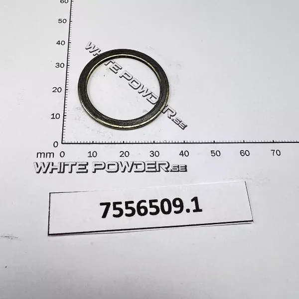 Polaris 7556509