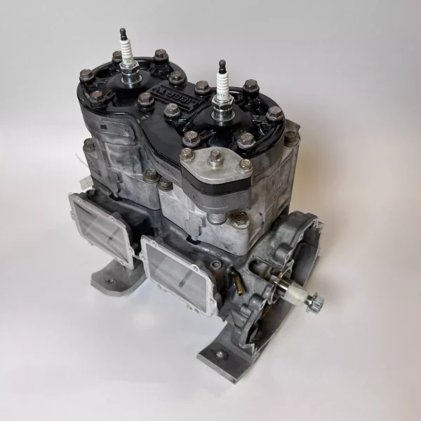Polaris IQ 600 R 2017 Motor