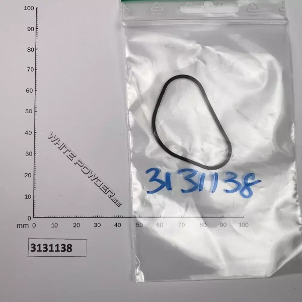 Polaris 3131138 - O-Ring / Gasket